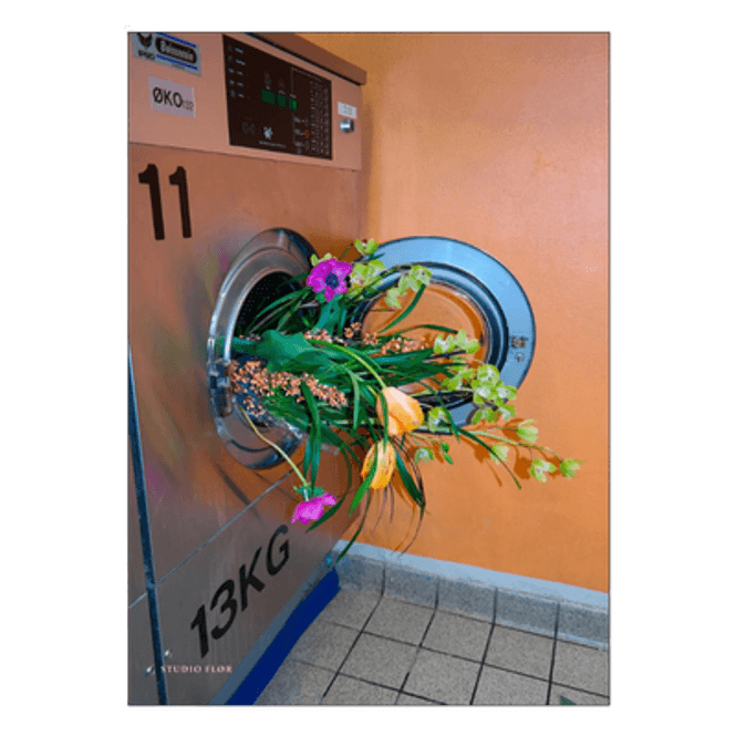 Hovedbilde Poster - Doing laundry