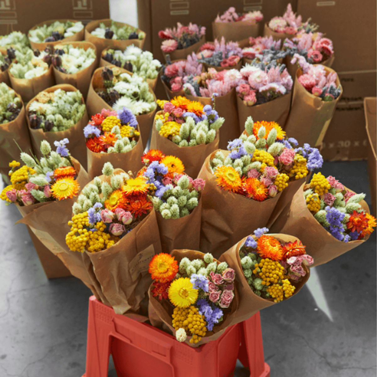  Dried Flowers - Bouquet - Multi