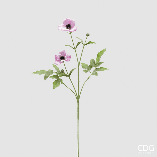 Hovedbilde Anemone, Lys rosa, 70 cm